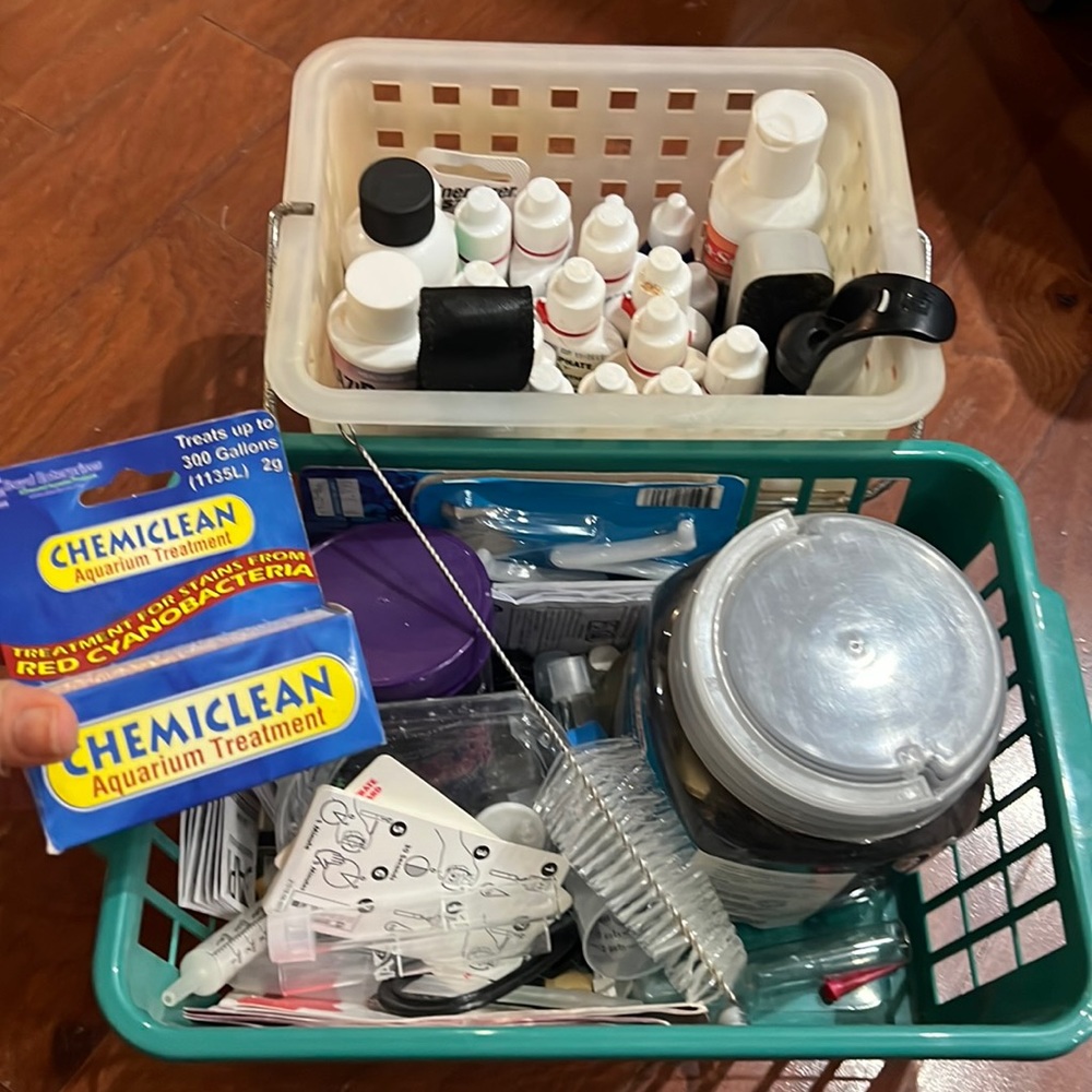 Salt water tank kit🐠🐟🐡